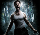 Wolverine