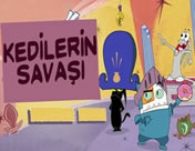 Kedi Savaşı