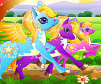 Ponyler Yarışıyor