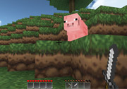 MineCraft 3D (2)