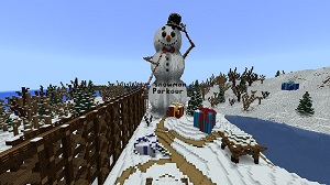 Winter Craft