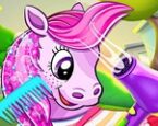 Pony Pet Salon