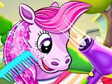 Pony Pet Salon