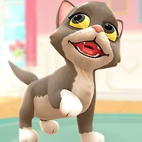 Yavru Kedi Besle