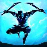 Ninja Revenge