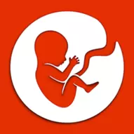 Hayat Simülatörü