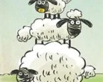 Koyunların Sorunu