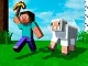 Cube Craft 2