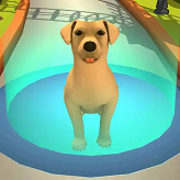 Köpek Hayatı