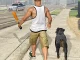GTA Grand Vegas Crime