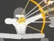 Ragdoll Archers