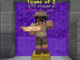 CubeCraft Survival